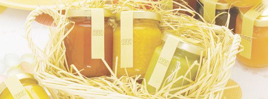 �s�t�����V�̃R���t�B�`���[���t���H�T���v���\�����݃t�H�[��